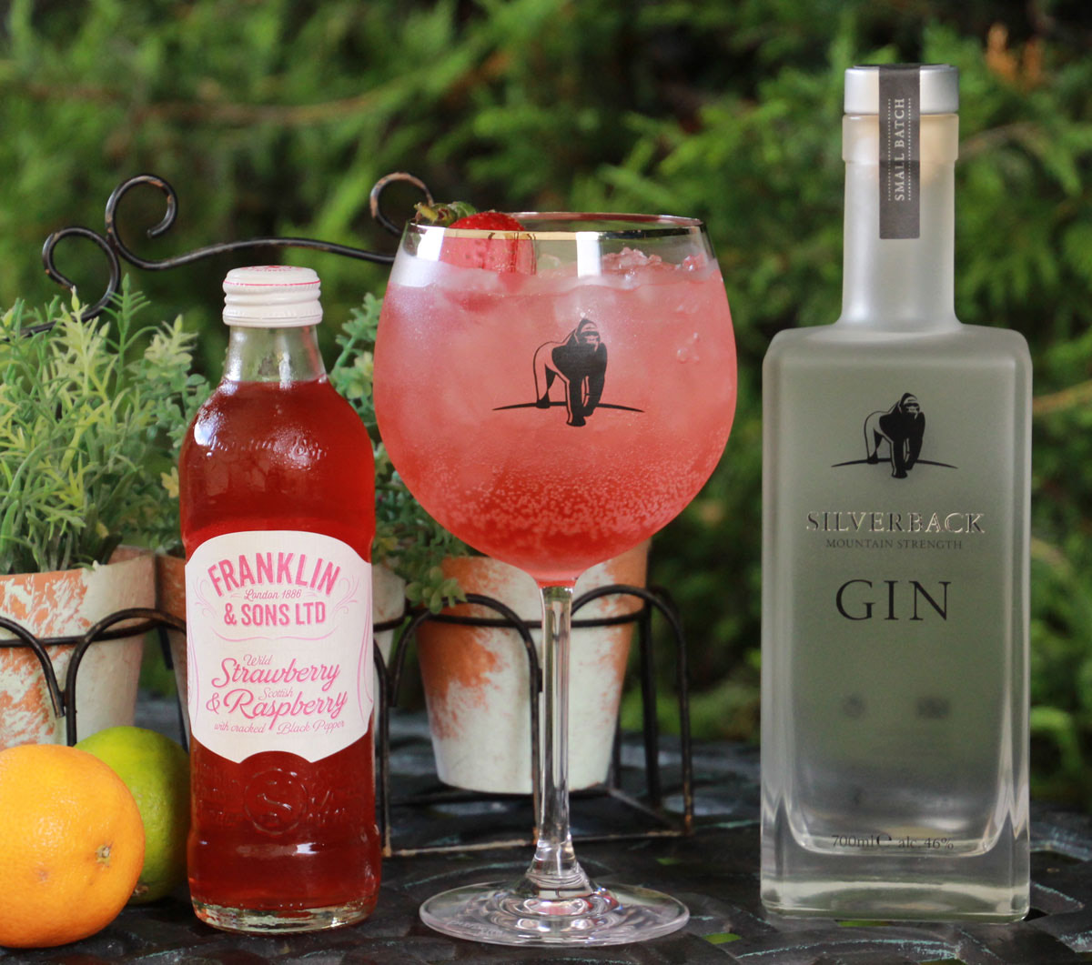 SilverbackStrawberry&Raspberry Think Gin Club™