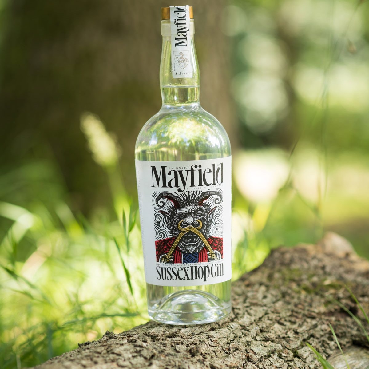 Top 10 craft gins to try this summer