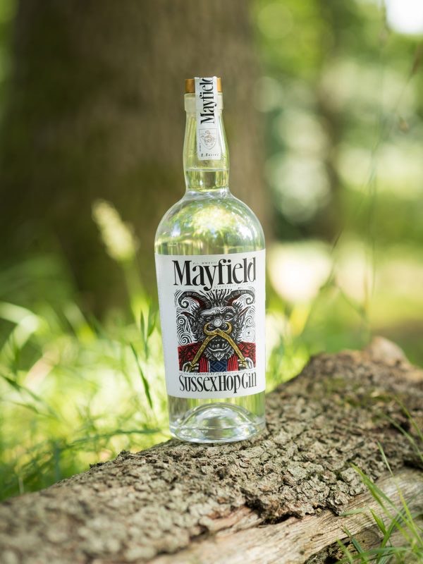 Top 10 craft gins to try this summer
