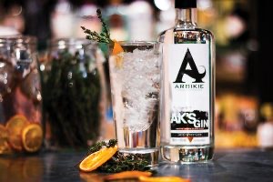 arbikie gin and tonic