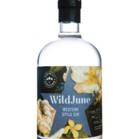 Top 10 Craft Gins to Try This Summer