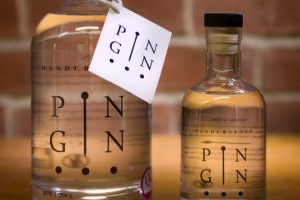 Top 10 craft gins to try this summer