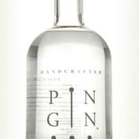 pin gin