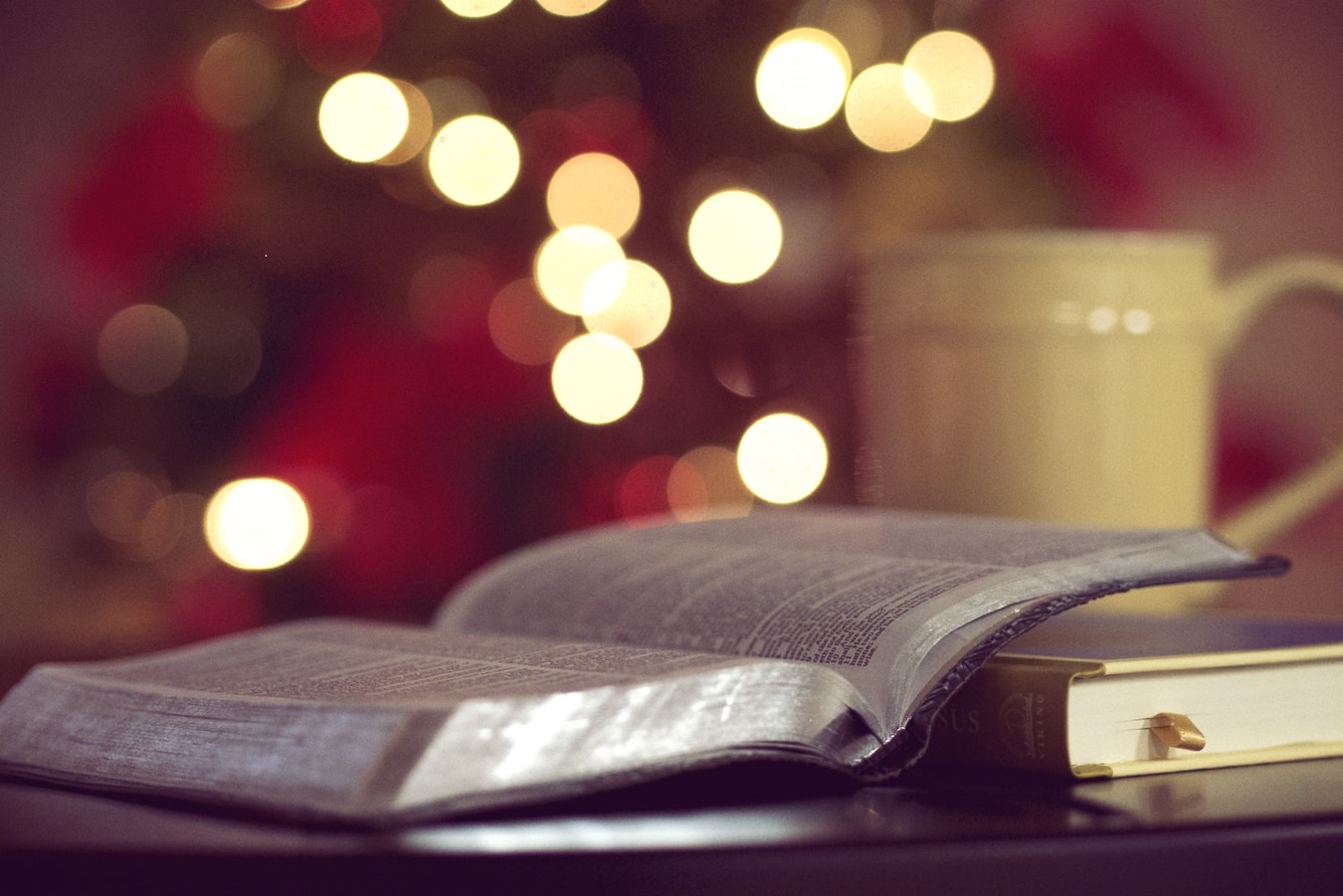 book and mulled wine