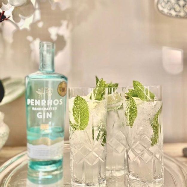 Martini Penrhos Mojito