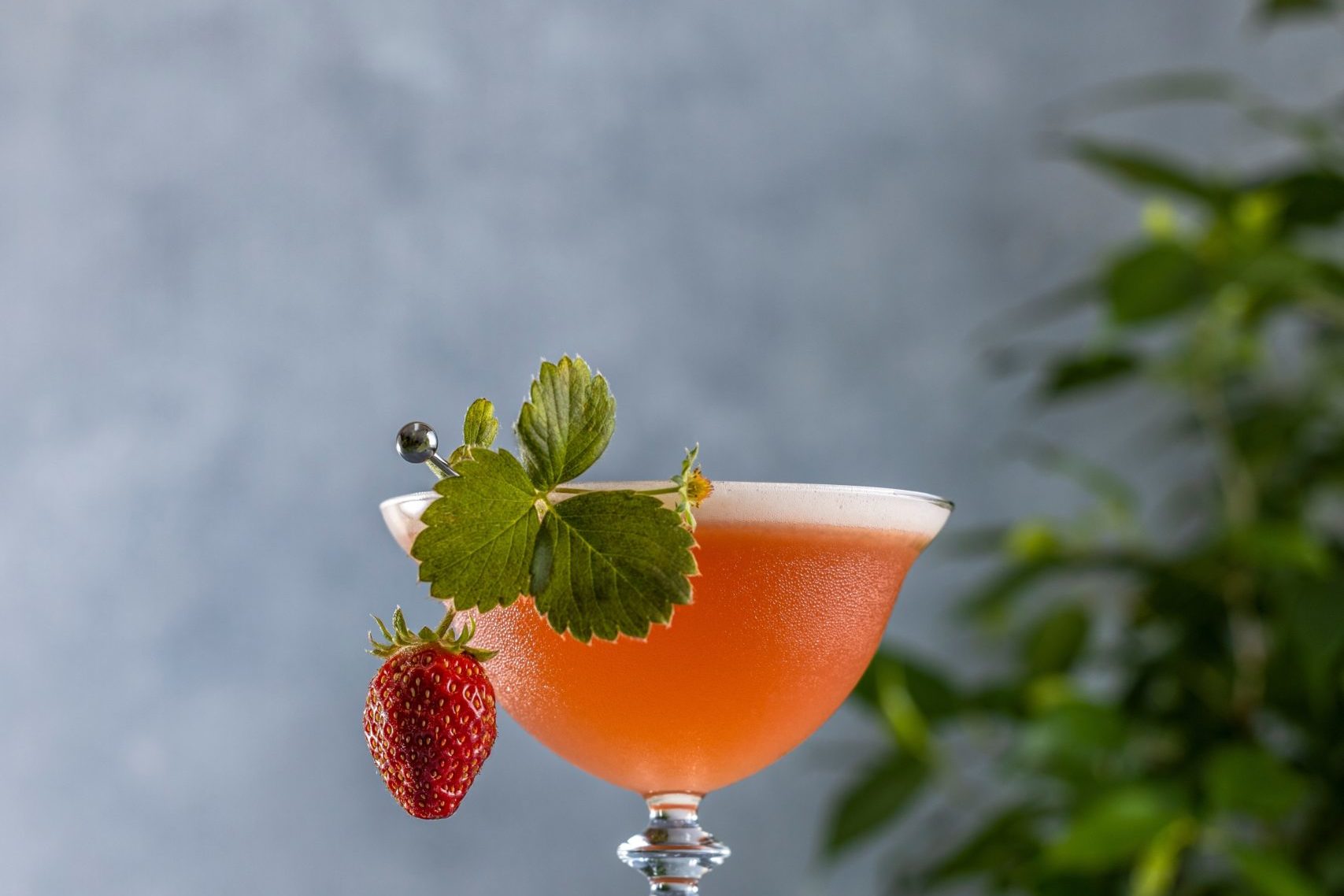 Sour,Drink,With,Gin,,Strawberries,,And,Egg,White,Foam,On strawberry fields forever