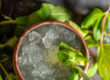 Gin Gin Mule