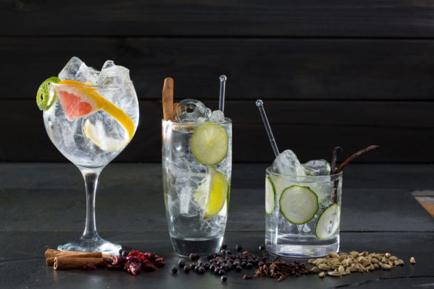 Gin Puns Gin related puns Think Gin Club